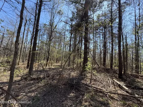 0 N Circle Rd, Lexington, MS 39095 photo 2