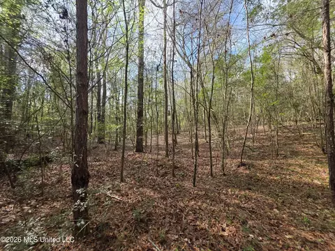 Conerly Drive, Mccomb, MS 39648 photo 21