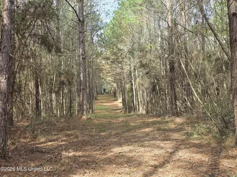 Conerly Drive, Mccomb, MS 39648 photo 29
