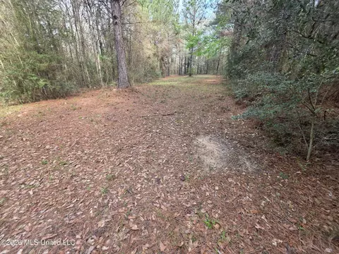 Conerly Drive, Mccomb, MS 39648 photo 13