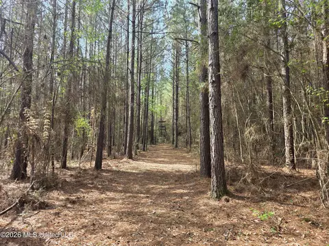 Conerly Drive, Mccomb, MS 39648 photo 27