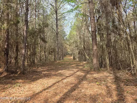 Conerly Drive, Mccomb, MS 39648 photo 26