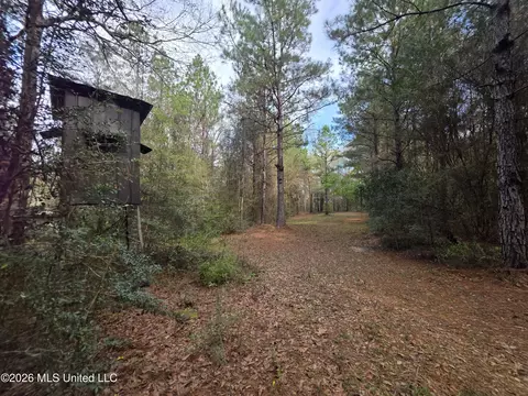 Conerly Drive, Mccomb, MS 39648 photo 14
