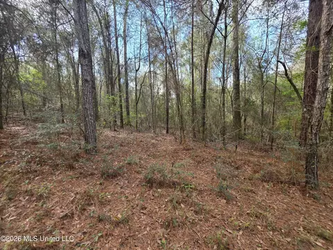 Conerly Drive, Mccomb, MS 39648 photo 15