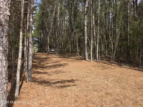 Conerly Drive, Mccomb, MS 39648 photo 3
