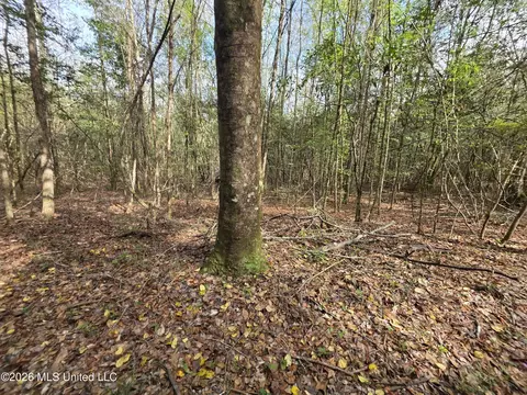 Conerly Drive, Mccomb, MS 39648 photo 19