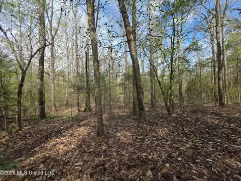 Conerly Drive, Mccomb, MS 39648 photo 24