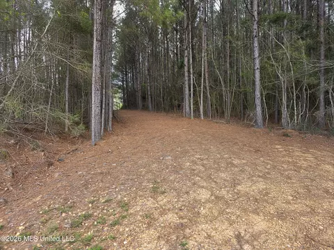 Conerly Drive, Mccomb, MS 39648 photo 4