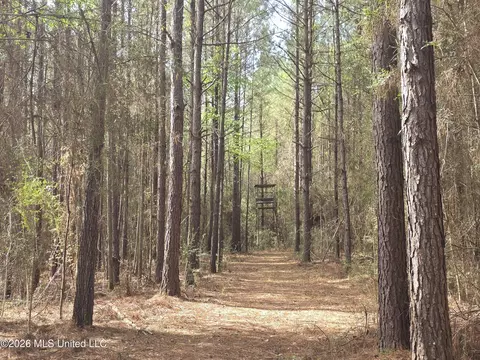 Conerly Drive, Mccomb, MS 39648 photo 28
