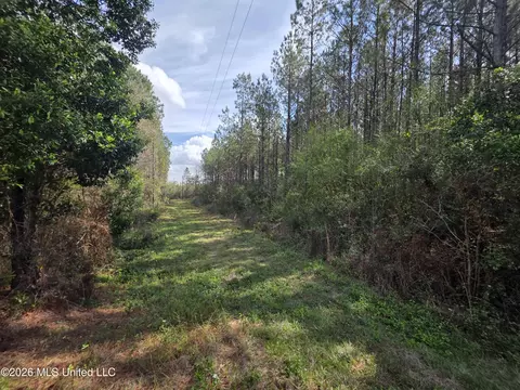 Conerly Drive, Mccomb, MS 39648 photo 10