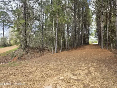 Conerly Drive, Mccomb, MS 39648 photo 5