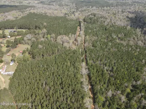 Conerly Drive, Mccomb, MS 39648 photo 7