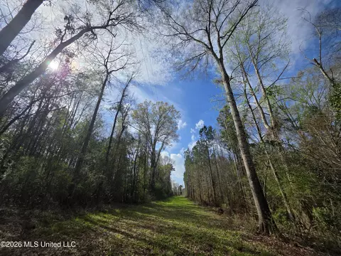 Conerly Drive, Mccomb, MS 39648 photo 30