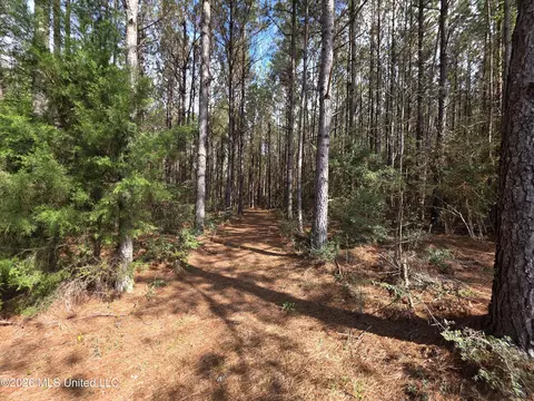 Conerly Drive, Mccomb, MS 39648 photo 12