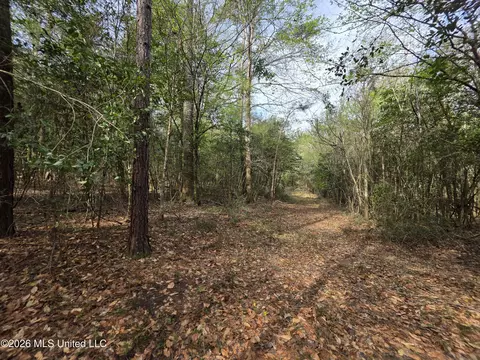 Conerly Drive, Mccomb, MS 39648 photo 17