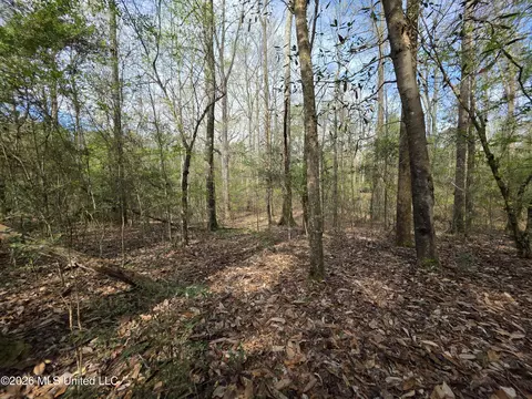 Conerly Drive, Mccomb, MS 39648 photo 25