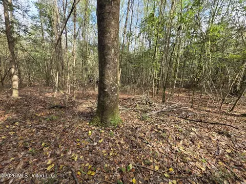 Conerly Drive, Mccomb, MS 39648 photo 20