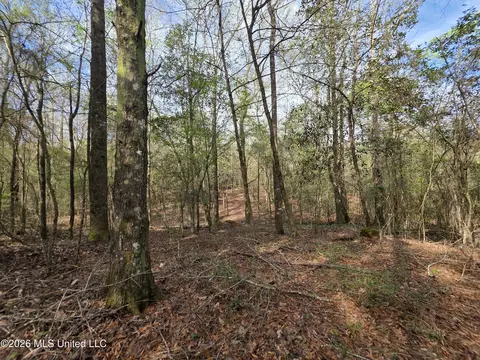 Conerly Drive, Mccomb, MS 39648 photo 23