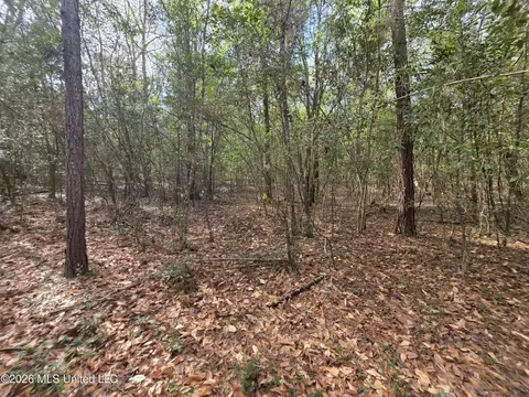 Conerly Drive, Mccomb, MS 39648 photo 18