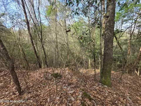 Conerly Drive, Mccomb, MS 39648 photo 31