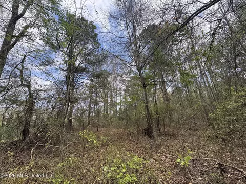 Stephens Road, Newton, MS 39345