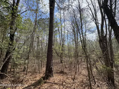 Stephens Road, Newton, MS 39345 photo 10