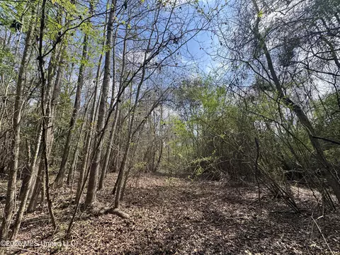 Stephens Road, Newton, MS 39345 photo 9
