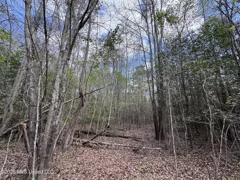 Stephens Road, Newton, MS 39345 photo 15