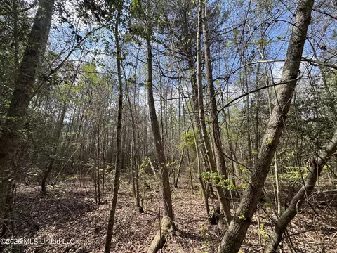 Stephens Road, Newton, MS 39345 photo 16