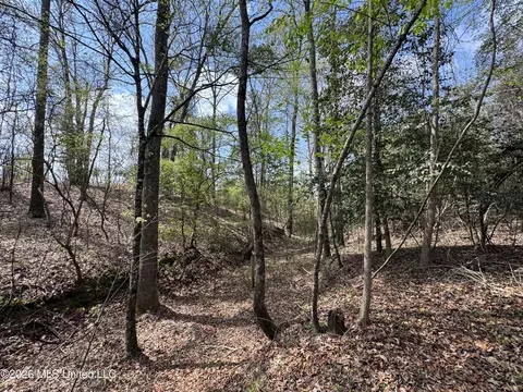 Stephens Road, Newton, MS 39345 photo 17