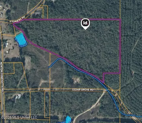 Stephens Road, Newton, MS 39345