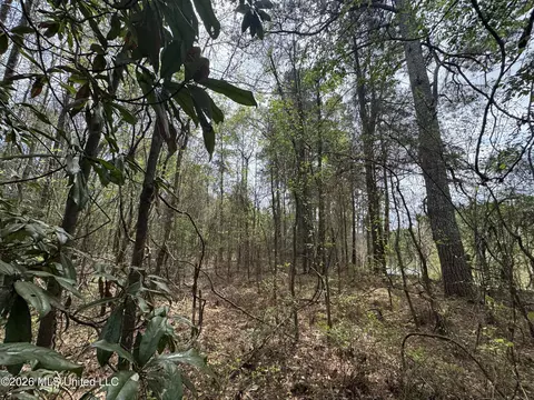 Stephens Road, Newton, MS 39345 photo 4