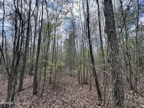 Stephens Road, Newton, MS 39345 photo 13