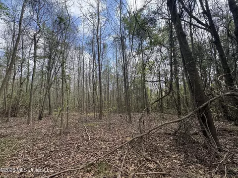 Stephens Road, Newton, MS 39345 photo 8