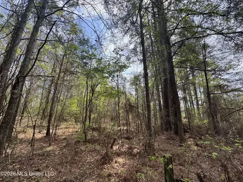 Stephens Road, Newton, MS 39345 photo 6