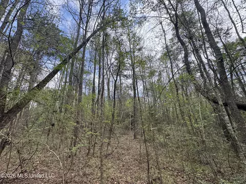Stephens Road, Newton, MS 39345 photo 3
