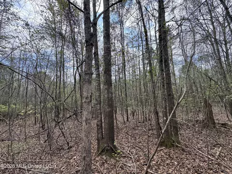 Stephens Road, Newton, MS 39345 photo 14