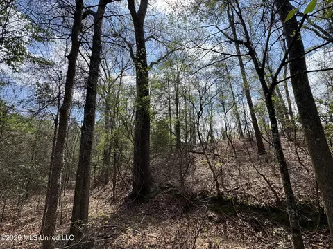 Stephens Road, Newton, MS 39345 photo 19
