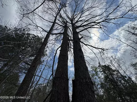 Stephens Road, Newton, MS 39345 photo 11