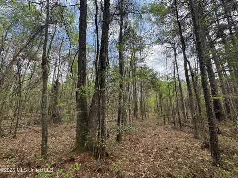 Stephens Road, Newton, MS 39345 photo 5