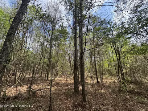 Stephens Road, Newton, MS 39345 photo 7
