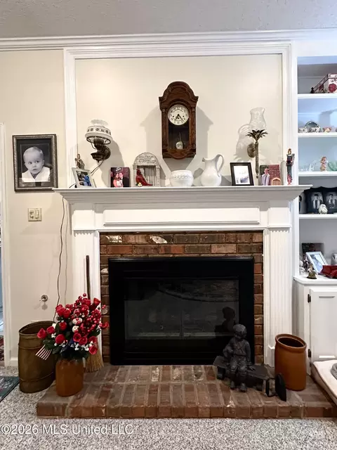 Other - 1245 Thousand Oaks Dr, Hernando, MS 38632 photo 2 of 5