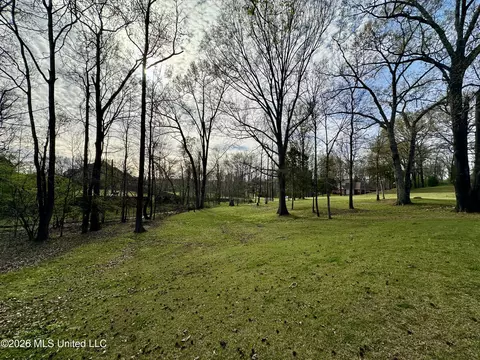 Exterior - 1245 Thousand Oaks Dr, Hernando, MS 38632 photo 6 of 11