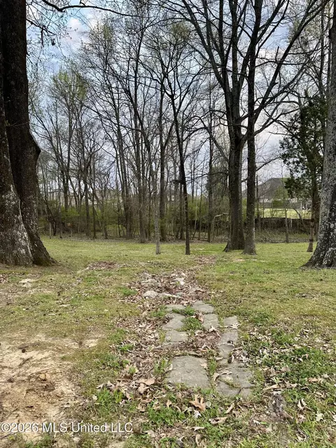 Exterior - 1245 Thousand Oaks Dr, Hernando, MS 38632 photo 5 of 11