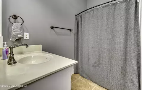 Bath - 329 Towne St, Brandon, MS 39042 photo 7 of 7