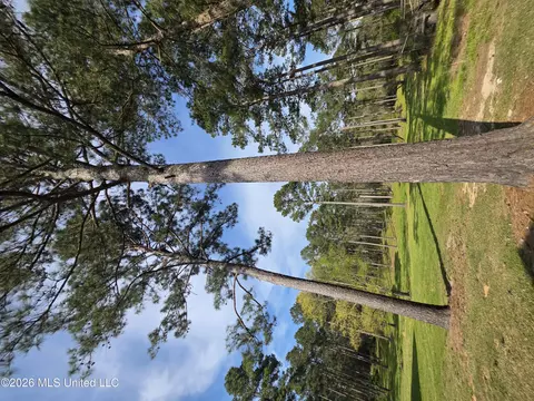 3185 NE Mound Rd, Wesson, MS 39191 photo 51