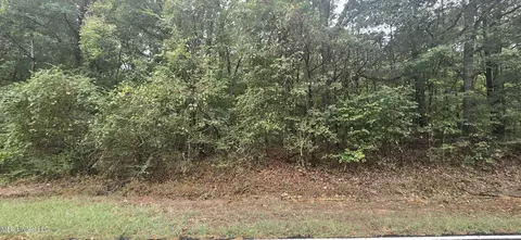 Woolsey Road, Olive Branch, MS 38654