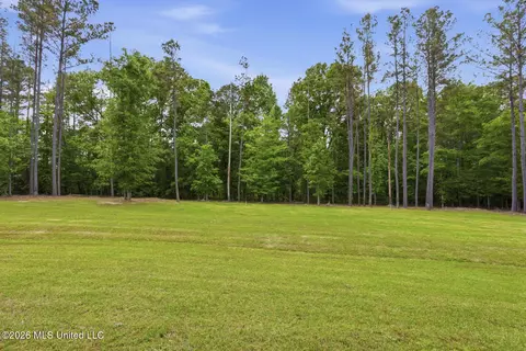 Exterior - 154 Fallen Oak Dr, Brandon, MS 39047 photo 12 of 13