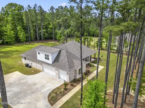 Other - 154 Fallen Oak Dr, Brandon, MS 39047 photo 2 of 17