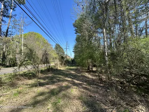 Hoy Road, Madison, MS 39110 photo 2